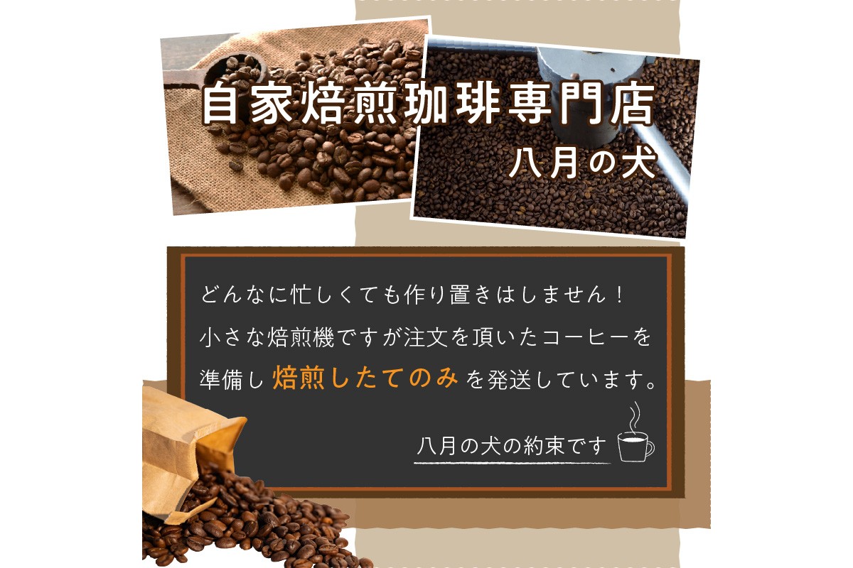 【栽培期間中農薬不使用】自家焙煎コーヒー豆　お試しセット（100gx3種）八月の犬　珈琲豆　ドリップ　飲み比べ　コホペ　HA00016