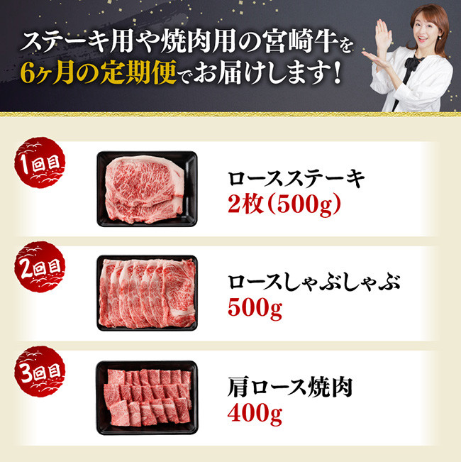 【6ヶ月定期便】宮崎牛定期便A（ステーキ・しゃぶしゃぶ・焼肉）全6回　牛肉[E11133t6]