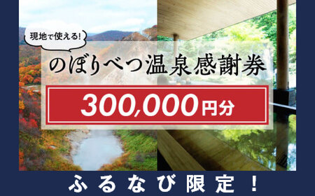 【ふるなび限定】のぼりべつ温泉感謝券300，000円分 FN-Limited