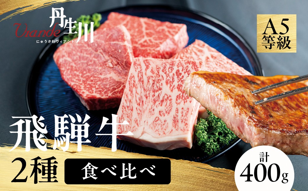 
                  2種食べ比べ ステーキ！ 飛騨牛 A5等級 ステーキ 400g (サーロイン200g＋もも200g) | 黒毛和牛 ブランド牛 人気 おすすめ 真空パック 丹生川精肉 ステーキ食べ比べ 和牛ステーキ 飛騨牛ステーキ サーロインステーキ モモステーキ A5等級ステーキ JJ008
                
