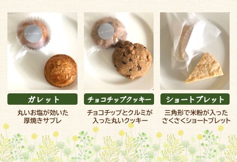 焼き菓子8個セット【ガレット チョコチップ ショートブレット サブレ クッキー クルミ 米粉 さくさく食感 サクサク ホロホロ おやつ デザート カフェタイム ギフト 洋菓子】 Z4-A080001