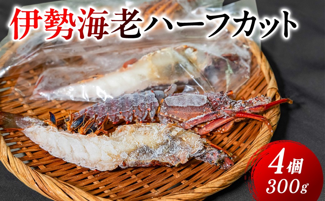 
                  伊勢海老ハーフカット　（2026年10月から順次発送）  【ふるさと納税 人気 おすすめ ランキング 伊勢海老 伊勢えび 伊勢エビ えび エビ 海老 活き伊勢エビ 活き伊勢えび 海鮮 新鮮 冷蔵 愛媛県 伊方町 送料無料】 IKTJ027
                