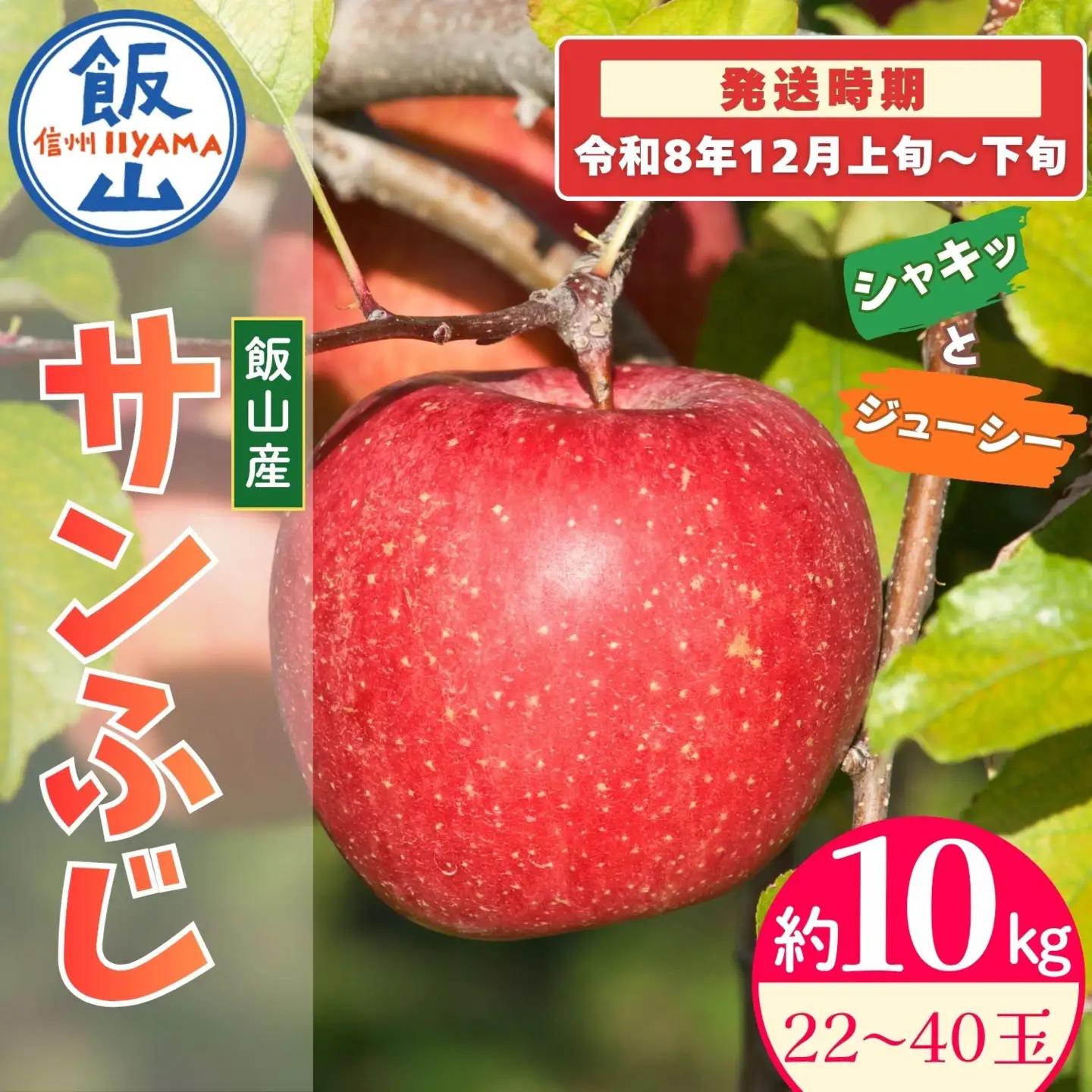 【先行予約丨2026年12月上旬より順次発送】サンふじ【約10kg(22〜40玉)】丨長野県 飯山市  (At-032)