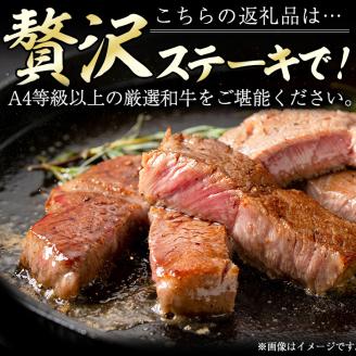 高千穂牛 サーロインステーキ(250g×2枚)国産 宮崎県産 宮崎牛 牛肉 ステーキ サーロイン 霜降り A4 和牛 ブランド牛【MT013】【JAみやざき 高千穂牛ミートセンター】