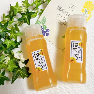 【ふるさと納税】豊川産百花はちみつ　液だれしない倒立ボトル250g×2本【1620197】