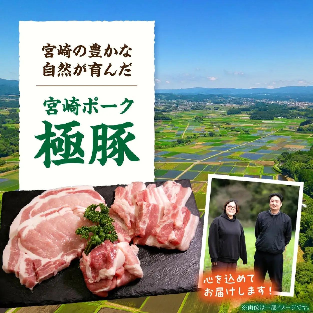豚肉 【定期便】契約農場ですくすく育った宮崎極豚焼肉食べ比べコース 12回 豚肉