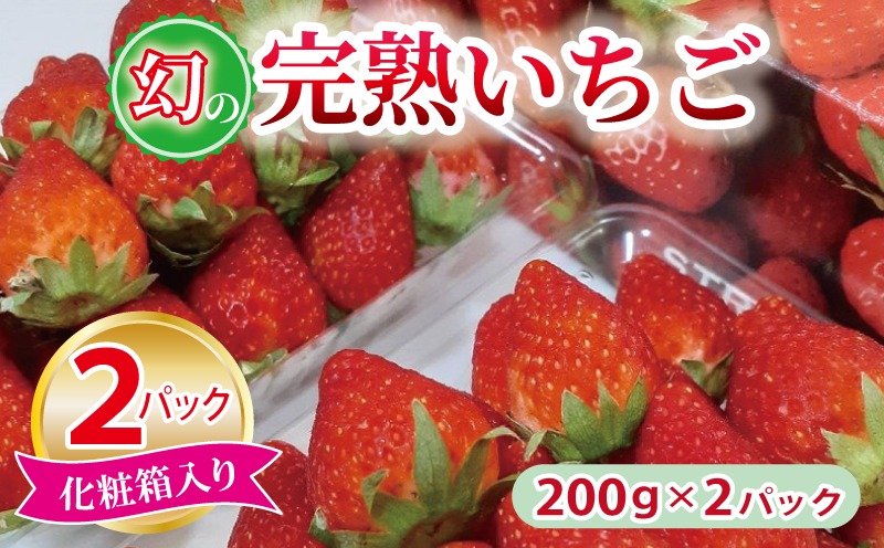 G1631 【特別規格】朝摘み完熟いちご 2パック【化粧箱入り 200g×2P 苺 イチゴ フルーツ 果物】