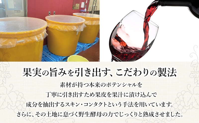 スチューベンナチュラル 750ml 2本 セット ワイン 赤ワイン 