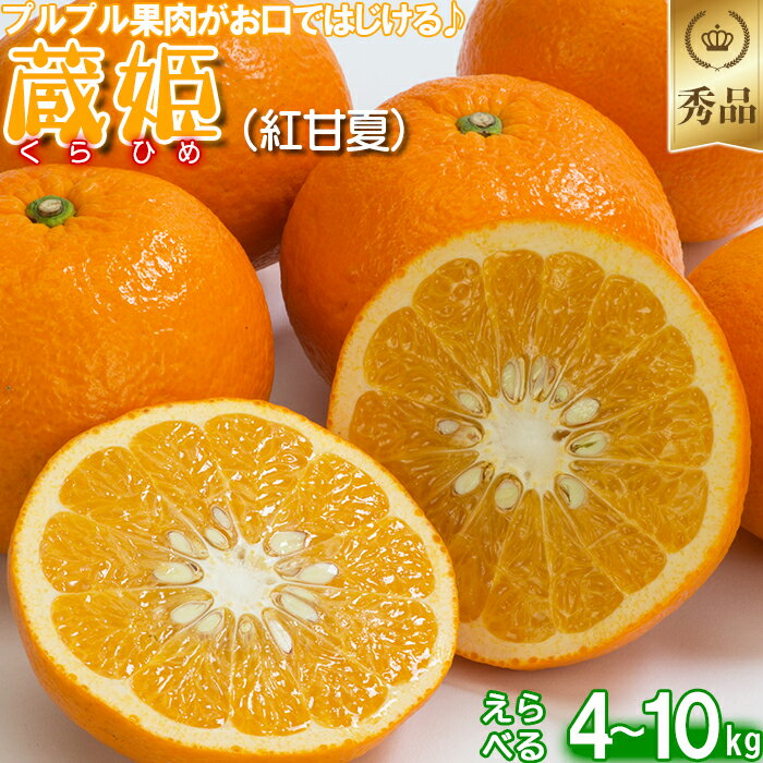 【ふるさと納税】今村農園の蔵姫くらひめ（紅甘夏） 約4〜10kg【秀品】 先行予約 果物 フルーツ＜107-708_7＞