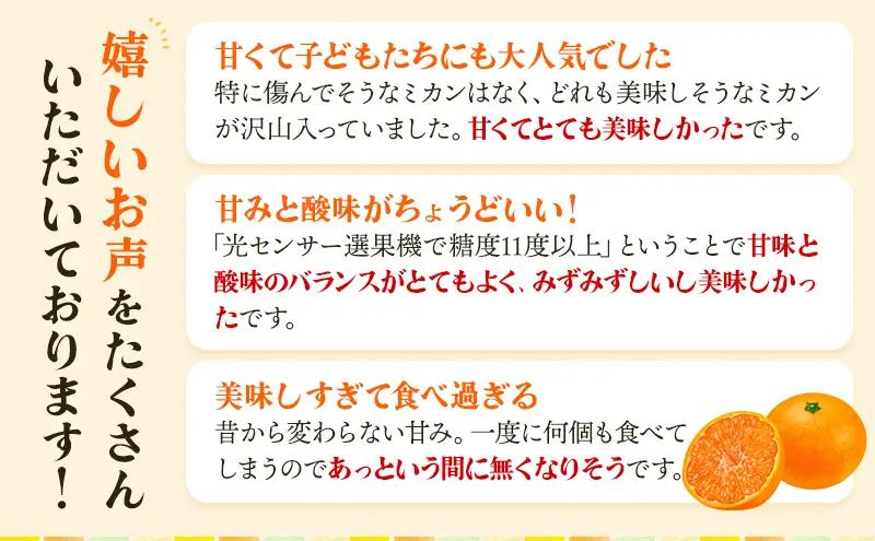 みかん 三ヶ日みかん 早生 5kg S〜L 混在 みかん