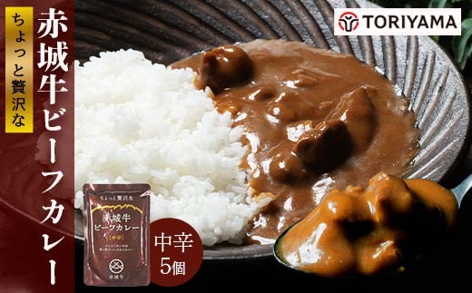 ちょっと贅沢なビーフカレー5個セット F4H-0831