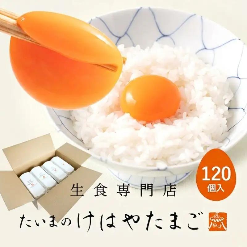 たいまのけはやたまご　120個入り　／たまご　生卵　奈良県　葛城市【tegg005】