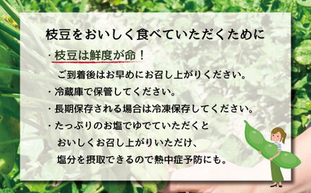 枝豆 湯あがり娘 約1kg （約200g×5袋） 【2026年6月下旬～7月下旬まで順次発送予定】｜ 野菜 豆 えだまめ おつまみ おやつ 旬 旬の野菜 旬の食材 国産 小分け 個包装 静岡 静岡県産