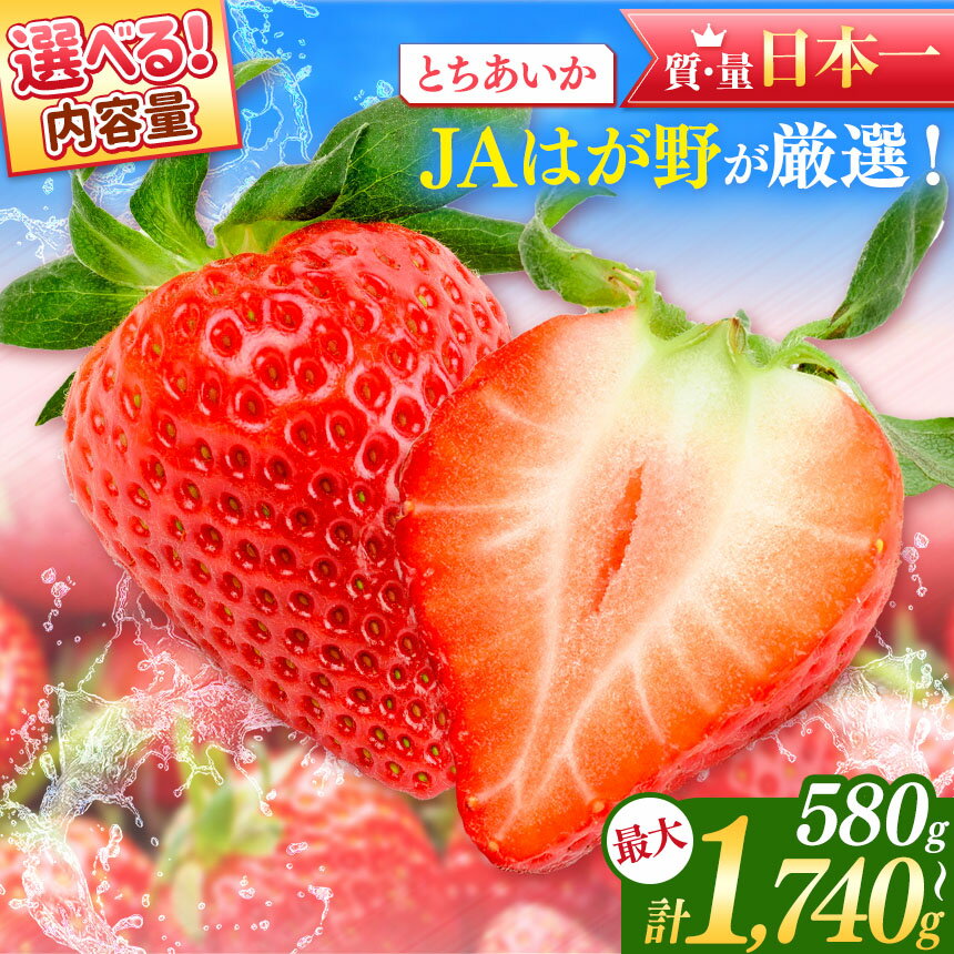 【ふるさと納税】【2026年先行予約】日本一のいちご生産量を誇るJAはが野が厳選！新鮮とちあいか | 選べる 果物 苺 いちご フルーツ 果実 果物 人気品種 イチゴ 日本一 いちご王国栃木の首都もおか 甘い ギフト プレゼント 真岡市 栃木県 送料無料