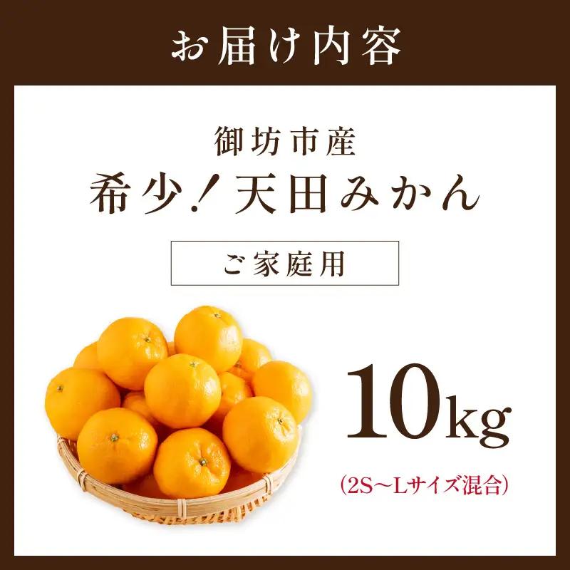 【0617-4】希少！天田みかん（紀州和歌山）ご家庭用10kg