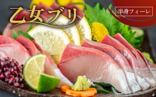 乙女 ブリ 700 ~ 900g フィーレ ブランド 鰤 ブリ 乙女ブリ しゃぶ 切り身 カマ付き 高知県 須崎市 高知 鰤 ギフト 贈り物 KS0311-2x