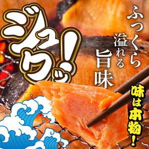紅鮭切身 訳あり バラ詰め 1.5kg 鮭 さけ _HD231-016