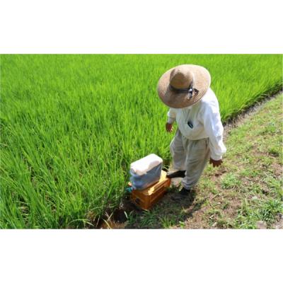 ふるさと納税 臼杵市 【令和7年度産】こだわり農法の「れんげ米」玄米(10kg) |  | 01