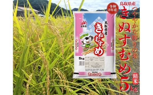 358M.鳥取県産きぬむすめ◇精米5kg◇令和8年産