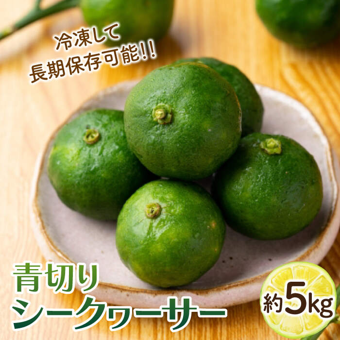【ふるさと納税】【TVで話題！】【先行予約】 青切り シークワーサー 約5kg＜広津農園＞ [CBN015] シークヮーサー レモン 果物 柑橘
