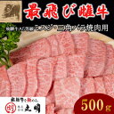 【ふるさと納税】【最飛び雌牛】飛騨牛A5等級ミスジ・三角バラ焼肉用　500g【配送不可地域：離島】【1520156】