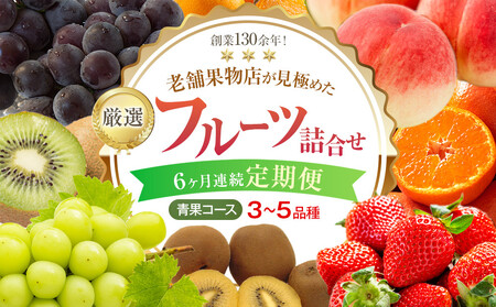 【6ヶ月連続定期便】厳選フルーツ詰合せ【青果コース】3～5品種