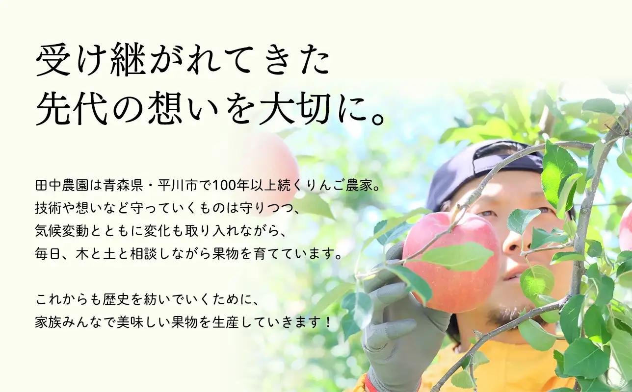 【12月中旬～発送】 蜜星りんごチップス 5袋セット 25g×5 りんご