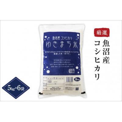 ふるさと納税 十日町市 ゆきまち米 30kg(5kg×6)〈厳選された新潟県魚沼産コシヒカリ〉令和8年産米 |  | 01
