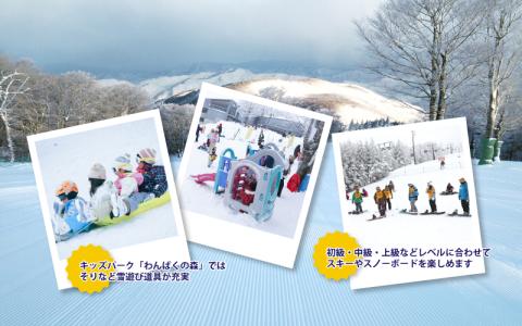 瑞穂ハイランド　シーズン時間券　３０時間（小人(18才まで））【23-24シーズン限定】