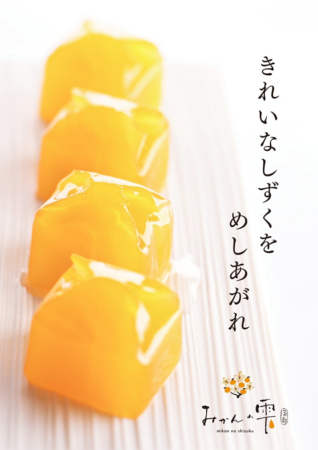 【ふるさと納税】G0257 蒲郡 みかんの雫 ゼリー 15個入り 2箱セット ミカン 保存料・着色料不使用 子ども 大人 おもたせ お土産