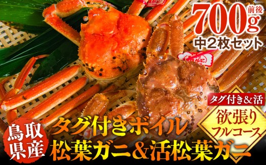 1033.鳥取県産　タグ付きボイル松葉ガニと活松葉ガニの欲張りフルコース中2枚セット　(700g前後)　※2026年11月上旬～2027年3月下旬頃に順次発送予定