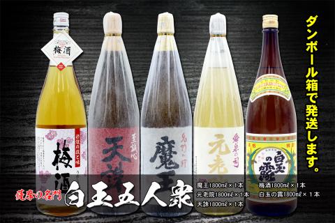 №5025-1 薩摩の名門　白玉五人衆　一升瓶５本セット