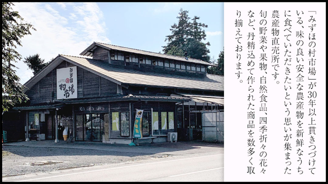 みずほの村市場牛久店  しろいも 食べくらべ （ きみまろこ 2kg しろほろり 1kg）計約3kg  甘い 芋 いも サツマイモ スイーツ 野菜 珍しい野菜