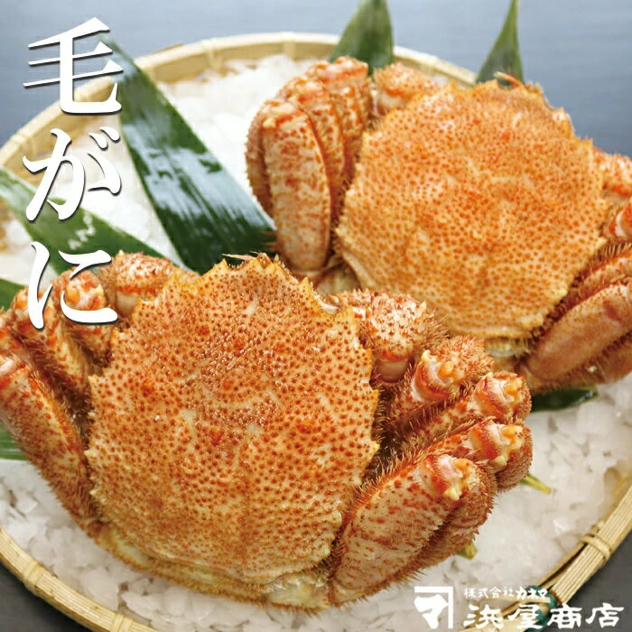 【ふるさと納税】毛がに 500g×2尾 B-32059