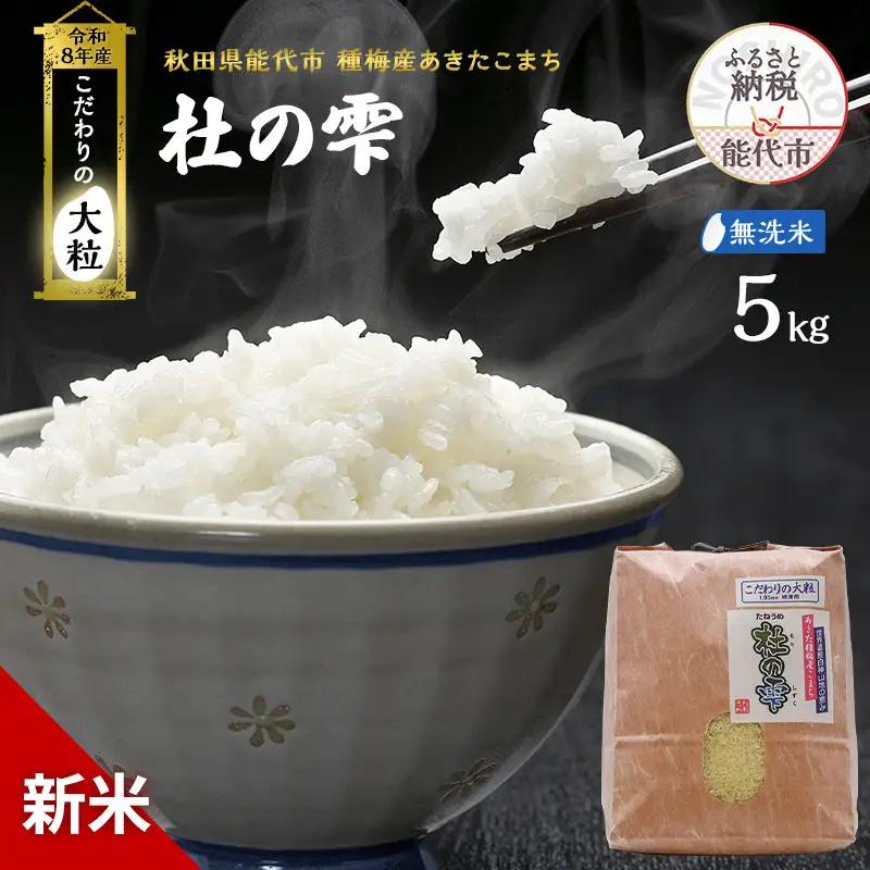 先行予約 新米 あきたこまち 杜の雫 5kg 無洗米 秋田