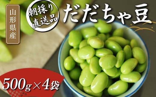 
朝採り直送品 だだちゃ豆 500g×4袋 2kg分 山形県の枝豆【2024年8月から発送】 FSY-1057
