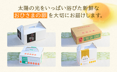 関匠卵 ひびき+アローカナハーフセット（計20個）※北海道・沖縄・離島への配送不可 _CP06