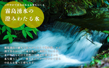 2023年産 新米 霧島湧水が育む「きりしまのゆめ」ヒノヒカリ(無洗米)6kg 減農薬栽培のお米 [令和5年産 宮崎県産 精米 白米 特A地区 特別栽培米 産地直送 産直 国産米 小分け 真空チャック