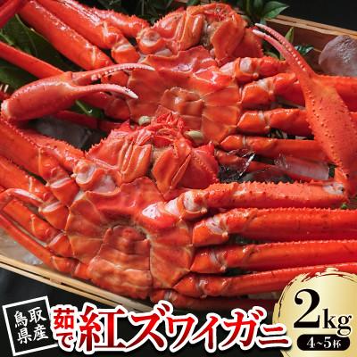 ふるさと納税 智頭町 【先行予約】鳥取県産 茹で紅ズワイガニ 2kg(4〜5杯) 2026年9月〜2027年5月発送