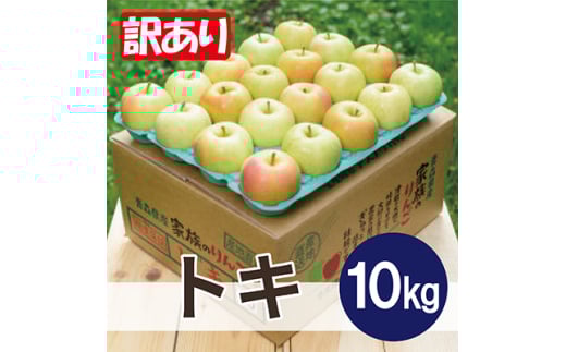 ＜2026年3月より順次発送＞平均糖度13度以上! トキ 約10kg 訳あり【1608108】