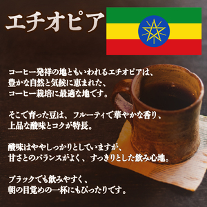 コーヒー 豆 2種 各 180g 計 360g 自家焙煎 珈琲 高級 豆 エチオピア ブラジル キャラメラード 箱入り 日野町