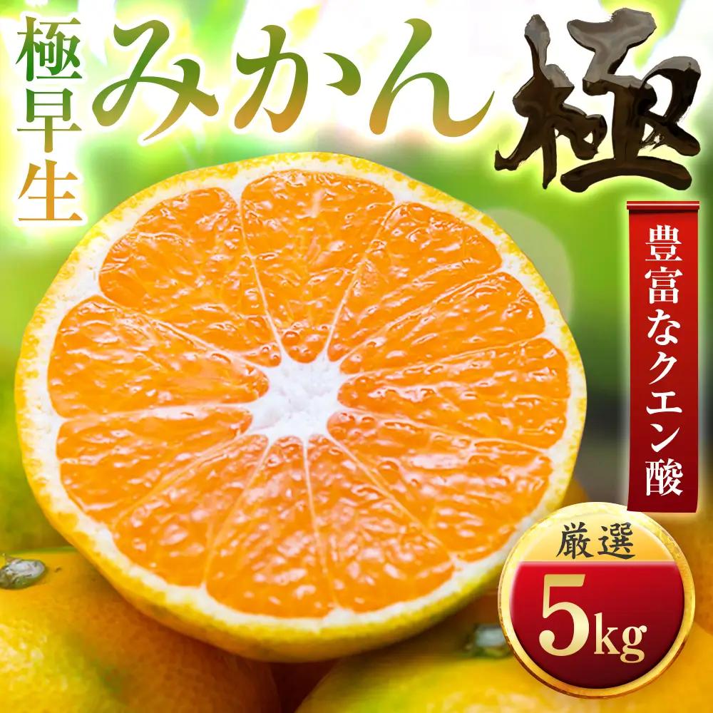 【太陽をたっぷり浴びた】極早生みかん【極】5kg【C49-33】【1508894】 YWTZ025