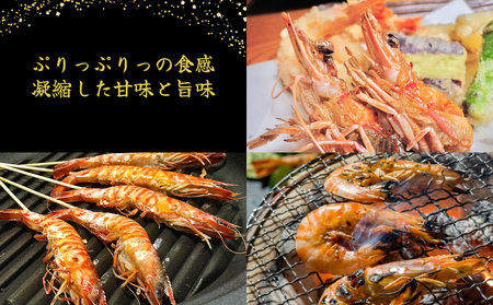 【久米総合開発】活き〆急速冷凍車海老：中4kg