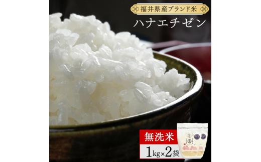 【定期便12回】福井県産 ハナエチゼン 無洗米 2kg（1kg×2）＜令和7年産 新米 数量限定 ＞【米 コメ お米 精米 白米 無洗米 玄米 ご飯 飯 華越前 ブランド米 国産】[095-t12-a216]