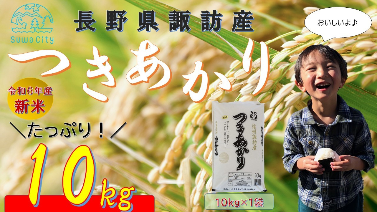 
【 新米 】【 期間限定 (2025年3月10日まで受付) 】 【 オンライン決済限定 】 令和6年産 信州諏訪産 「 つきあかり 」 10kg ( 10kg×1袋 ) 単一米 白米 精米 少量 小分け ごはん 2024年産 信州 長野県 諏訪 諏訪市 【14-10】
