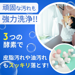 洗濯洗剤 サンブライト 12kg (1.2kg×10個) | 洗濯洗剤 洗濯洗剤 洗濯洗剤 洗濯洗剤 洗濯洗剤