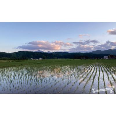ふるさと納税 小国町 雪若丸 5kg 令和7年産 山形県小国町産 |  | 03