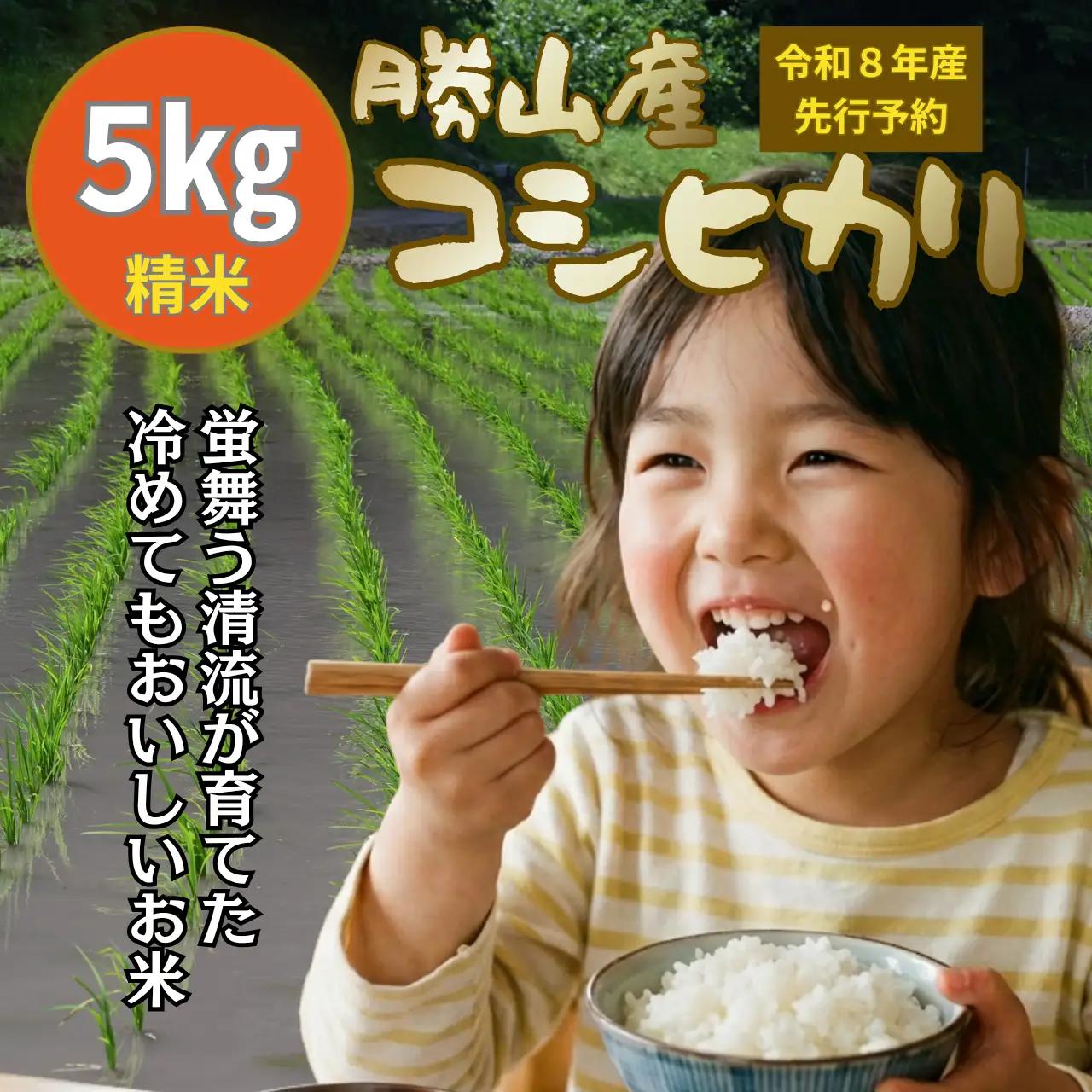 コシヒカリ 精米 5kg 令和8年産 コシヒカリ