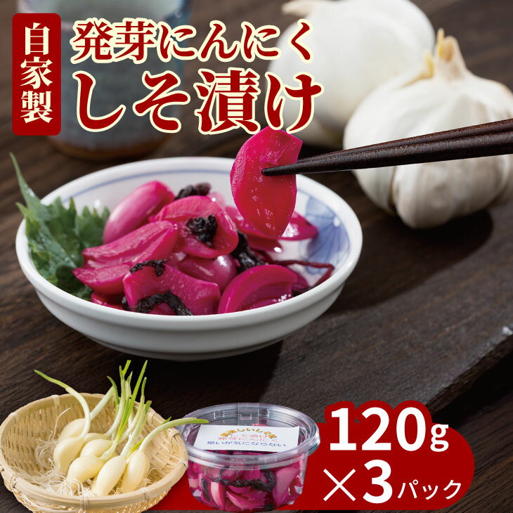 【ふるさと納税】 発芽 ニンニク しそ漬けセット（3パック） 【A070-035】