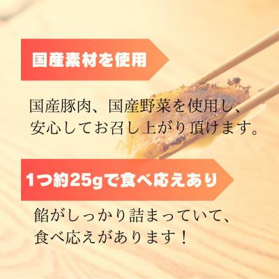 ふるさと納税 掛川市 【毎月定期便】すすきの　冷凍にんにく生餃子　25g×11個　2パック計22個【餃子のタレ付き】全3回 |  | 01